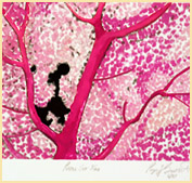 Pink Seafan by Roger Bacharach