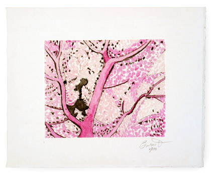 Pink Seafan Ghost by Roger Bacharach
