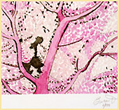 Pink Seafan Ghost by Roger Bacharach