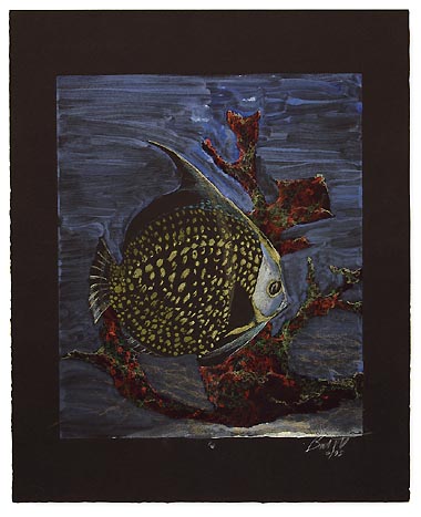 Angelfish on Black by Roger Bacharach