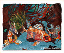 Long Spine Squirrel Fish by Roger Bacharach