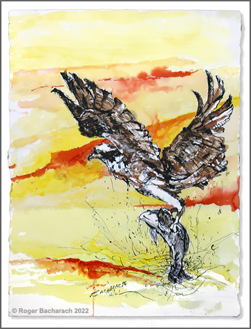 Osprey 1 by Roger Bacharach copyright 2022