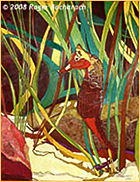 Sea Horse by Roger Bacharach